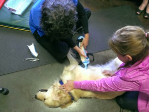 Rocky 14-24 Prosthesis Fitting