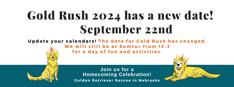 Gold Rush 2024 Slider