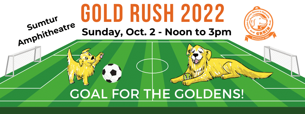 Gold Rush slider 2022