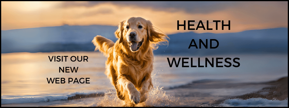Health & Wellness slider
