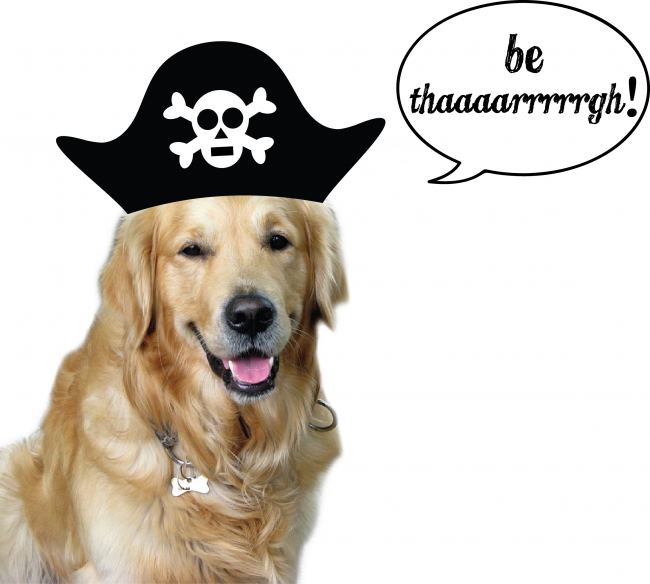 Pirate Dog word bubble
