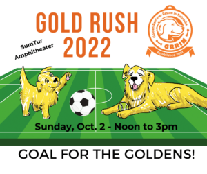 Gold Rush! Nashville Predators Adopt Golden Lid Full-Time