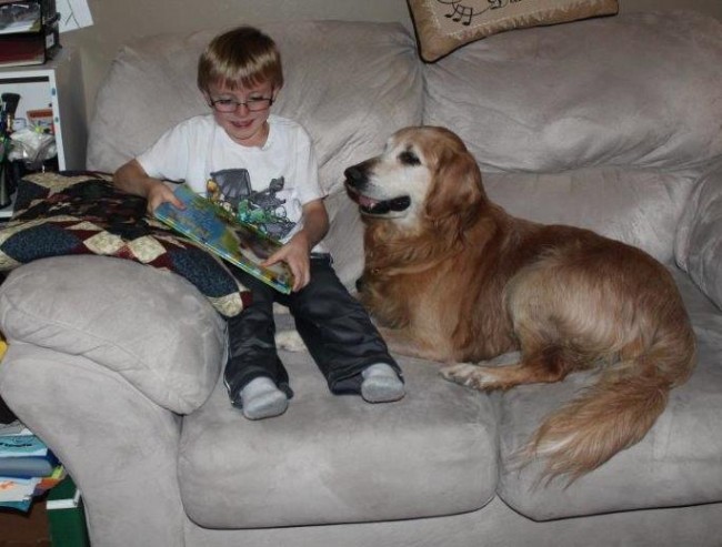 14-10 Buddy Adopted 3